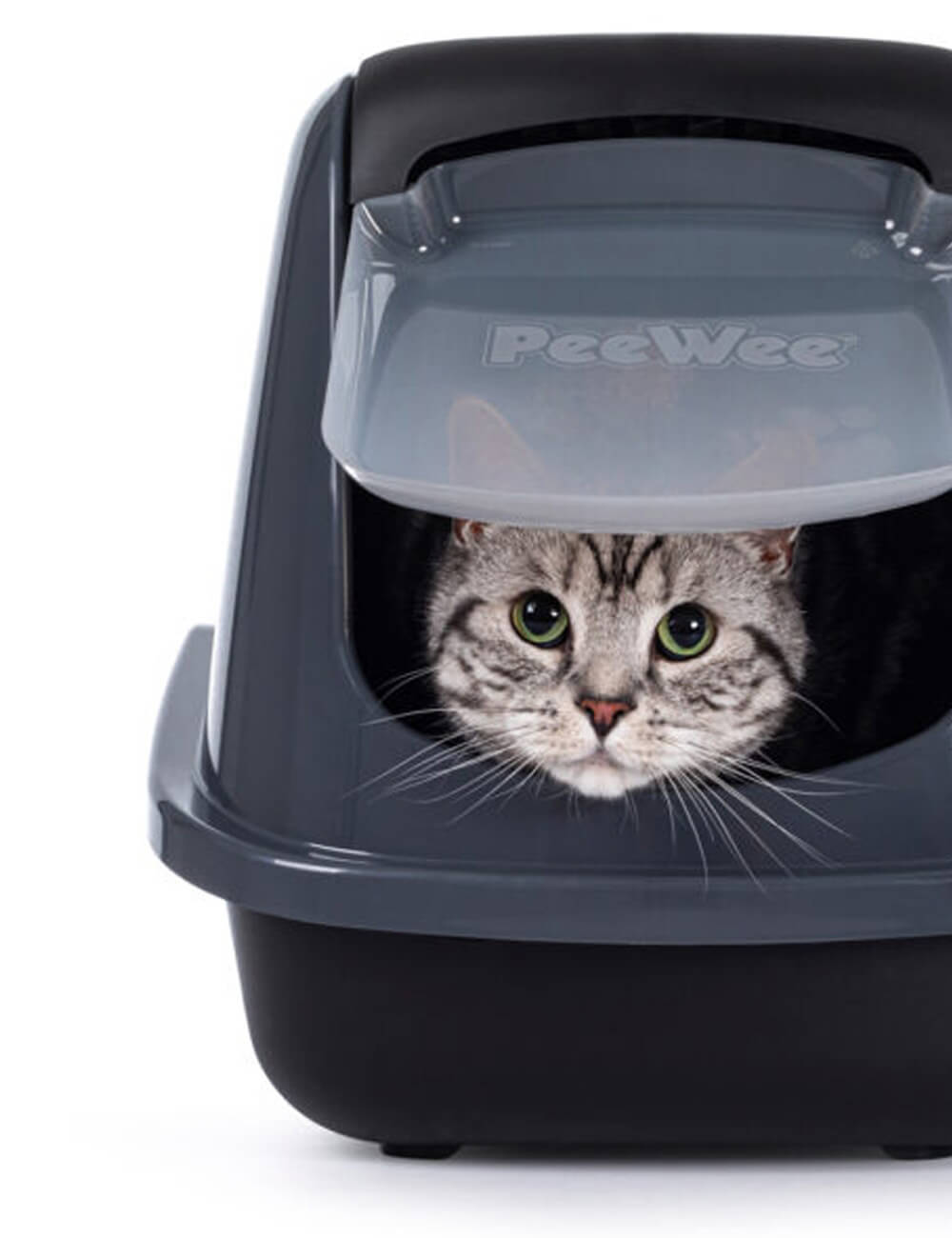 Katze im PeeWee Katzenklo mit halb geschlossener Klappe, diskrete und hygienische Katzentoilette