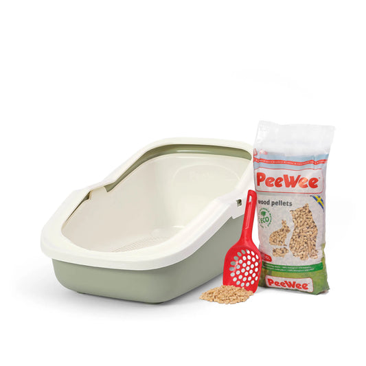 PeeWee EcoMinor Starterpaket grün salbeigrün – offene Katzentoilette mit Holzstreu und Schaufel