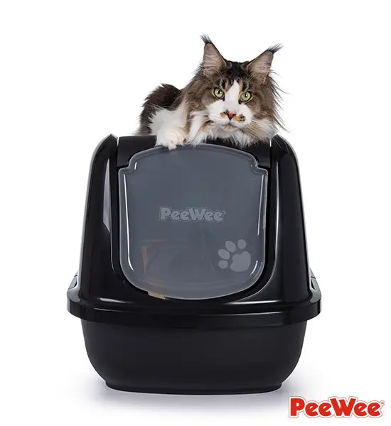 PeeWee EcoDome Katzentoilette in Schwarz mit Maine Coon Katze auf der Haube liegend.