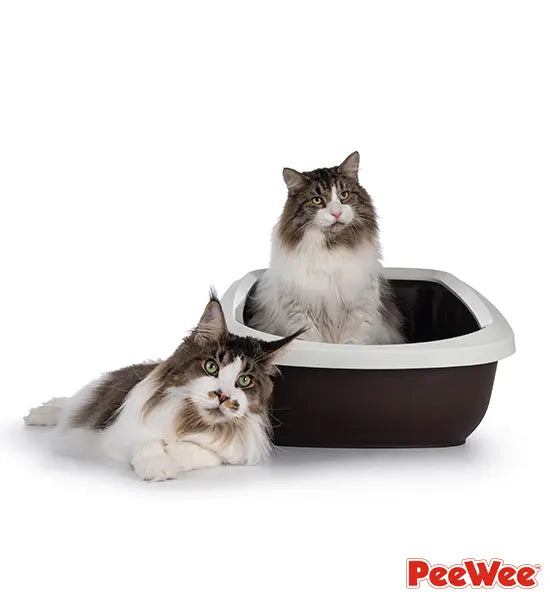 PeeWee EcoGranda Katzentoilette mit zwei Maine Coon Katzen – geräumig und komfortabel.