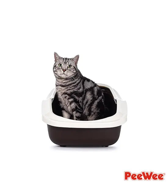 PeeWee EcoMinor offene Katzentoilette in der eine getigerte katze sitzt – hygienisch und praktisch.