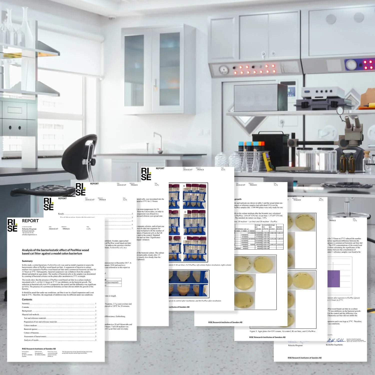 PeeWee RISE Laborbericht – Analyse der Bakterienhemmung von Holzpellets für hygienische Katzentoiletten