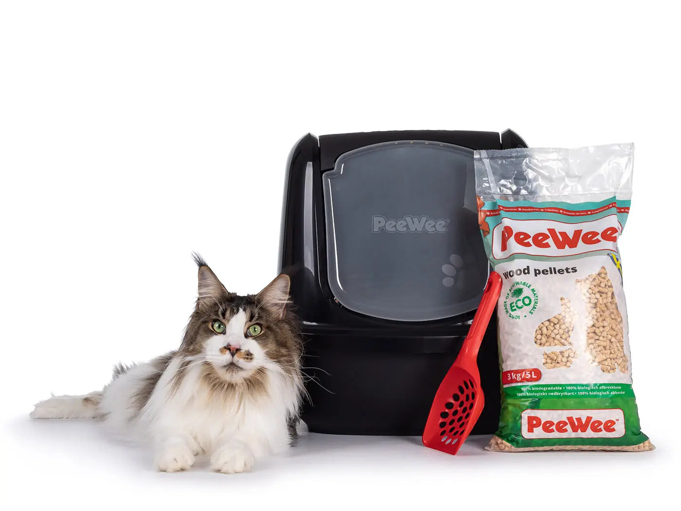 Maine-Coon-Katze neben PeeWee-Starterpaket mit Katzentoilette und Holzpellets – Holzstreu Katze Schaufel